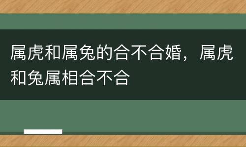 属虎和属兔的合不合婚，属虎和兔属相合不合