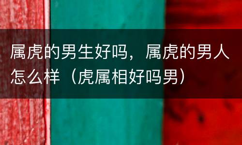属虎的男生好吗，属虎的男人怎么样（虎属相好吗男）