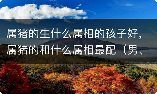 属猪的生什么属相的孩子好，属猪的和什么属相最配（男、女） 属