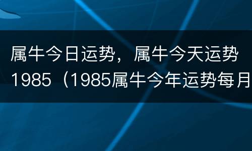 属牛今日运势，属牛今天运势1985（1985属牛今年运势每月运势）