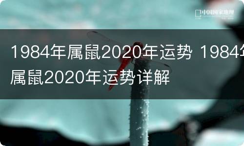 1984年属鼠2020年运势 1984年属鼠2020年运势详解