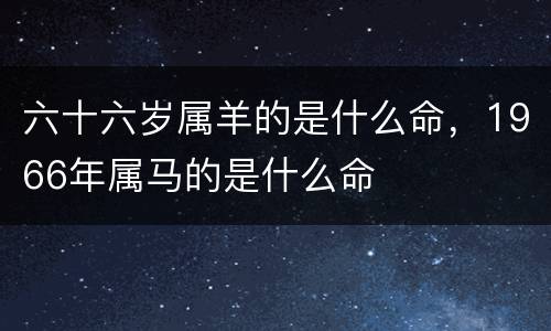 六十六岁属羊的是什么命，1966年属马的是什么命
