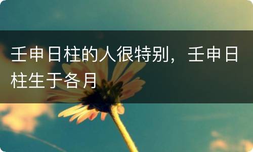 壬申日柱的人很特别，壬申日柱生于各月