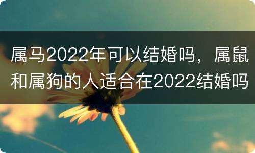 属马2022年可以结婚吗，属鼠和属狗的人适合在2022结婚吗