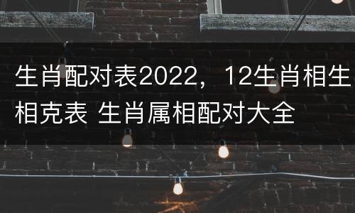 生肖配对表2022，12生肖相生相克表 生肖属相配对大全
