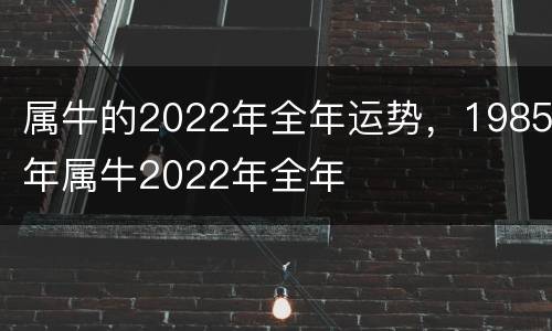 属牛的2022年全年运势，1985年属牛2022年全年