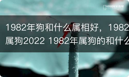1982年狗和什么属相好，1982属狗2022 1982年属狗的和什么属相最配、相克