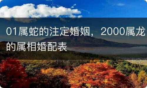 01属蛇的注定婚姻，2000属龙的属相婚配表