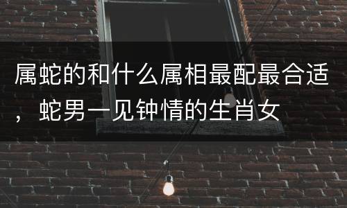 属蛇的和什么属相最配最合适，蛇男一见钟情的生肖女