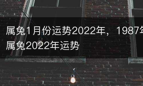 属兔1月份运势2022年，1987年属兔2022年运势