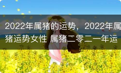 2022年属猪的运势，2022年属猪运势女性 属猪二零二一年运势女