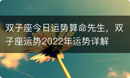 双子座今日运势算命先生，双子座运势2022年运势详解