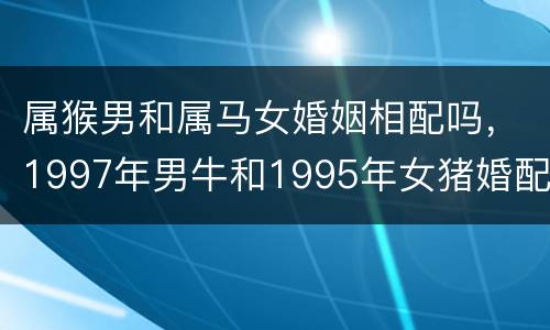 属猴男和属马女婚姻相配吗，1997年男牛和1995年女猪婚配