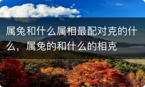 属兔和什么属相最配对克的什么，属兔的和什么的相克