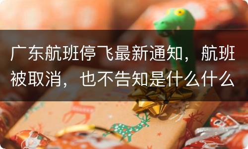 广东航班停飞最新通知，航班被取消，也不告知是什么什么原因