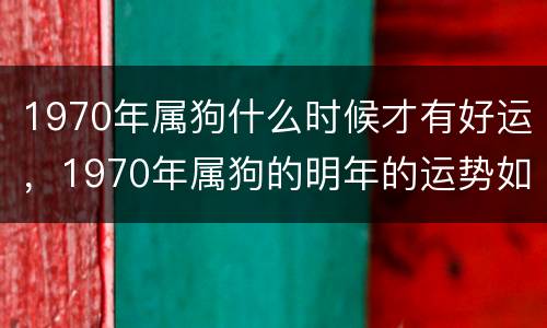 1970年属狗什么时候才有好运，1970年属狗的明年的运势如何