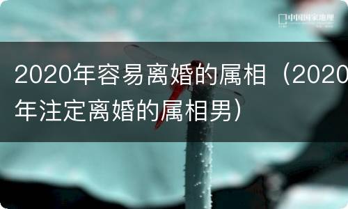 2020年容易离婚的属相（2020年注定离婚的属相男）