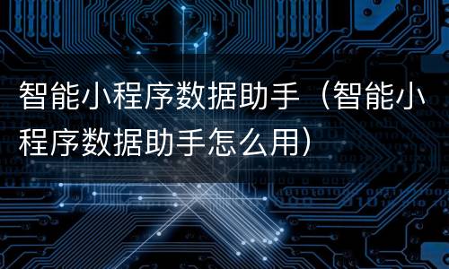 智能小程序数据助手（智能小程序数据助手怎么用）