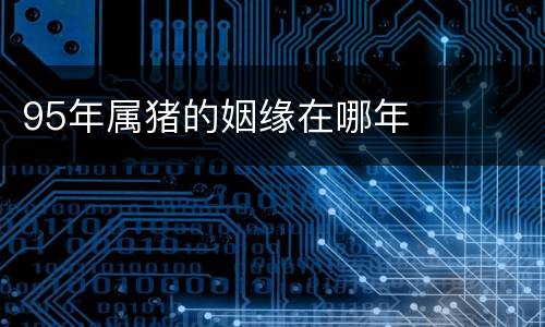 95年属猪的姻缘在哪年