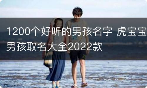 1200个好听的男孩名字 虎宝宝男孩取名大全2022款