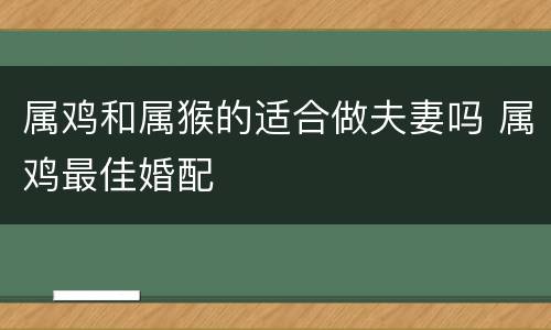属鸡和属猴的适合做夫妻吗 属鸡最佳婚配