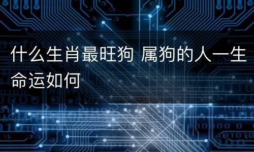 什么生肖最旺狗 属狗的人一生命运如何