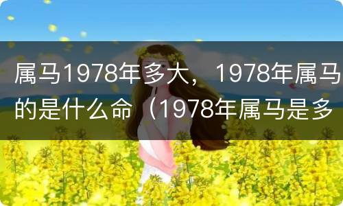 属马1978年多大，1978年属马的是什么命（1978年属马是多少岁）