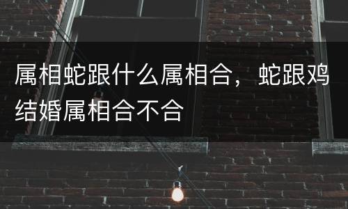 属相蛇跟什么属相合，蛇跟鸡结婚属相合不合