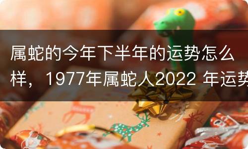 属蛇的今年下半年的运势怎么样，1977年属蛇人2022 年运势