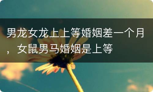 男龙女龙上上等婚姻差一个月，女鼠男马婚姻是上等