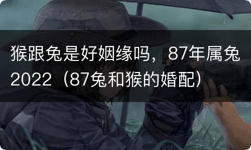 猴跟兔是好姻缘吗，87年属兔2022（87兔和猴的婚配）
