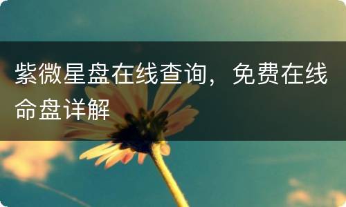 紫微星盘在线查询，免费在线命盘详解