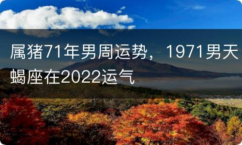属猪71年男周运势，1971男天蝎座在2022运气