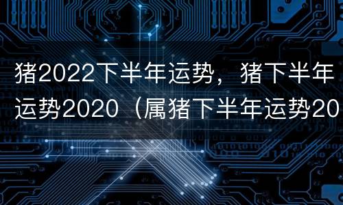 猪2022下半年运势，猪下半年运势2020（属猪下半年运势2022运势）