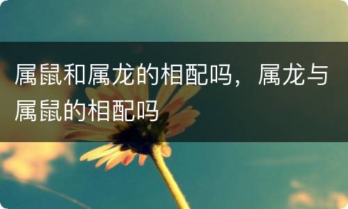 属鼠和属龙的相配吗，属龙与属鼠的相配吗