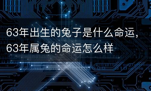 63年出生的兔子是什么命运，63年属兔的命运怎么样