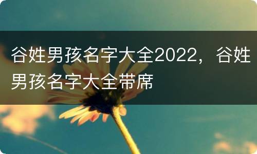 谷姓男孩名字大全2022，谷姓男孩名字大全带席