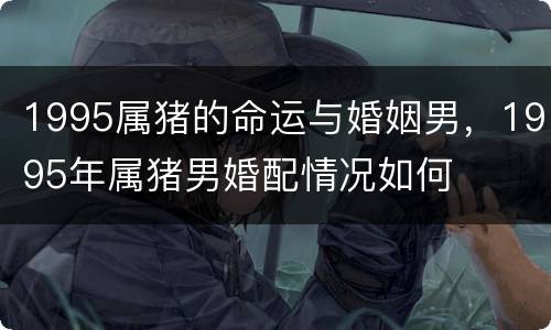 1995属猪的命运与婚姻男，1995年属猪男婚配情况如何