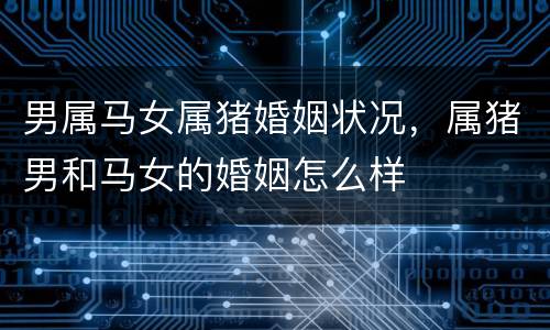 男属马女属猪婚姻状况，属猪男和马女的婚姻怎么样