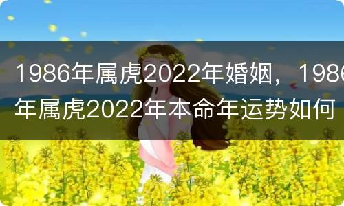 1986年属虎2022年婚姻，1986年属虎2022年本命年运势如何