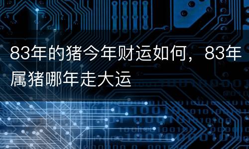 83年的猪今年财运如何，83年属猪哪年走大运