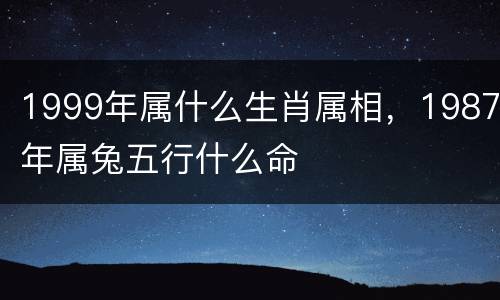 1999年属什么生肖属相，1987年属兔五行什么命