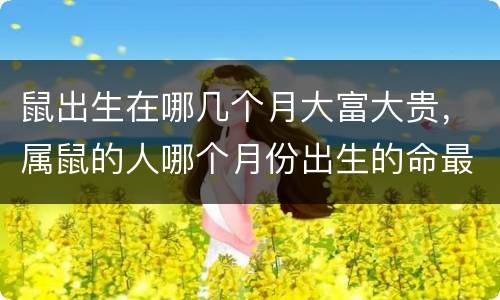 鼠出生在哪几个月大富大贵，属鼠的人哪个月份出生的命最好？