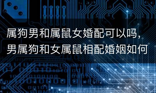 属狗男和属鼠女婚配可以吗，男属狗和女属鼠相配婚姻如何