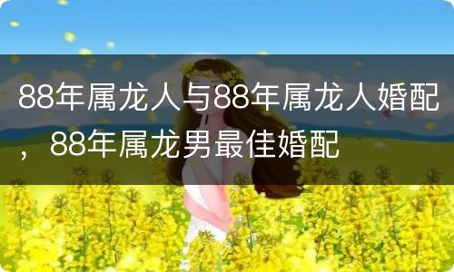 88年属龙人与88年属龙人婚配，88年属龙男最佳婚配
