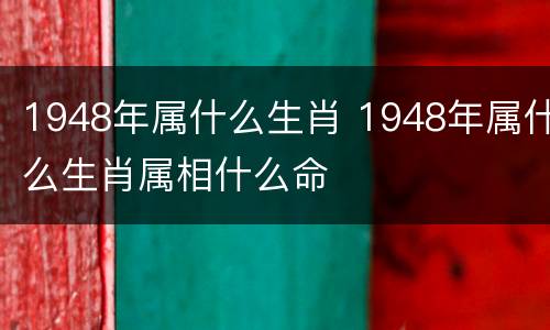 1948年属什么生肖 1948年属什么生肖属相什么命