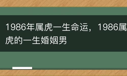 1986年属虎一生命运，1986属虎的一生婚姻男