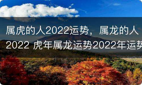 属虎的人2022运势，属龙的人2022 虎年属龙运势2022年运势