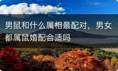 男鼠和什么属相最配对，男女都属鼠婚配合适吗