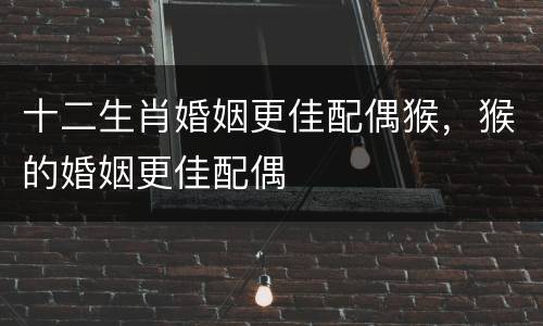 十二生肖婚姻更佳配偶猴，猴的婚姻更佳配偶